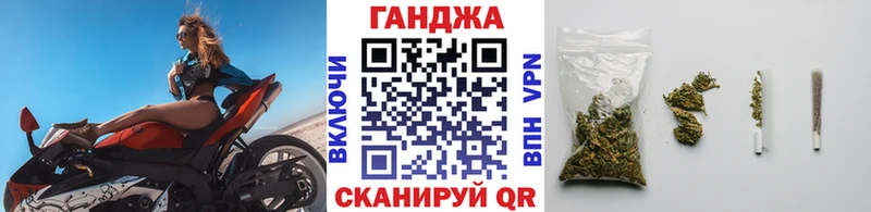 Конопля SATIVA & INDICA  Сенгилей 